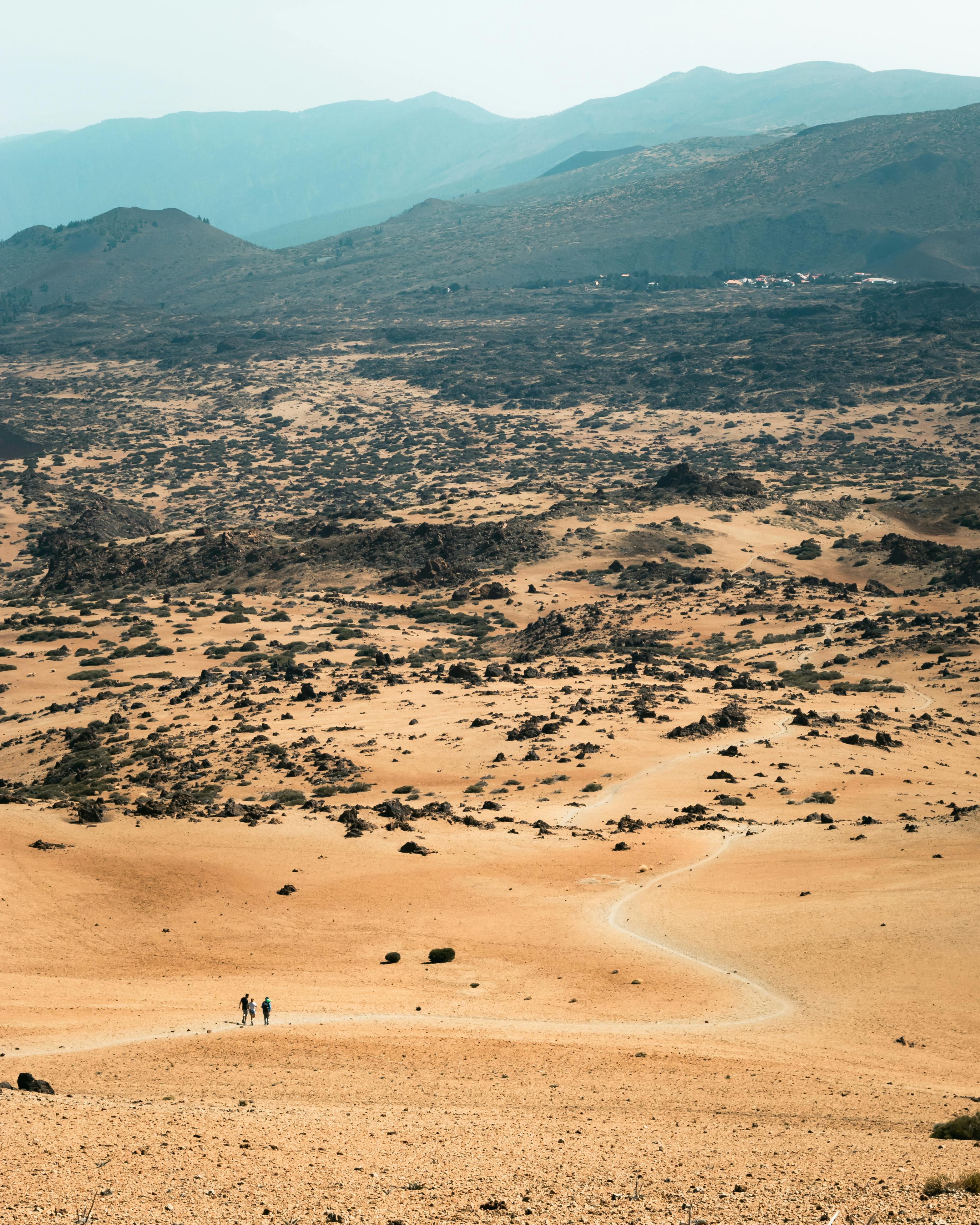 people walking on brown sand