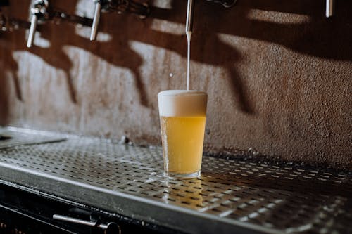 Ücretsiz ale, alkol, Alman birası içeren Ücretsiz stok fotoğraf Stok Fotoğraflar