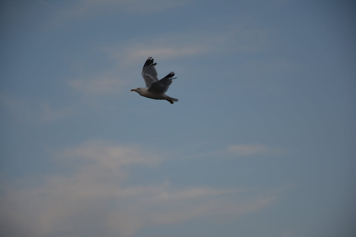 Illustration of diversified investment portfolio with technology and AI elements