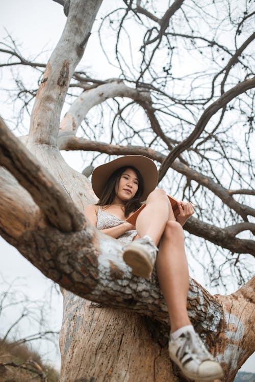 無料 茶色の木に座っている茶色の帽子をかぶって白と黒の花柄のドレスの女性 写真素材