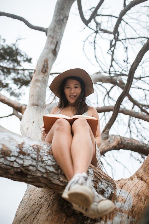 Free Woman Wearing Brown Hat Sitting on Tree Branch while Reading a Book Stock Photo