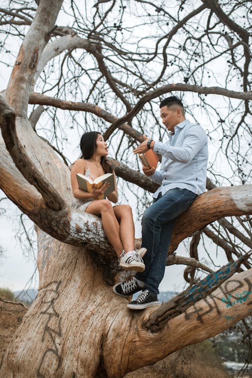 Homme Femme, Séance, Sur, Branche Arbre