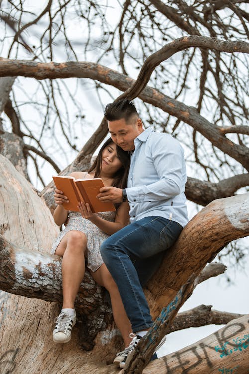 Free Couple Sitting on Tree Branch While Reading a Book Stock Photo