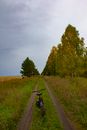 Black Bicycle on Road Between Green Grass Field