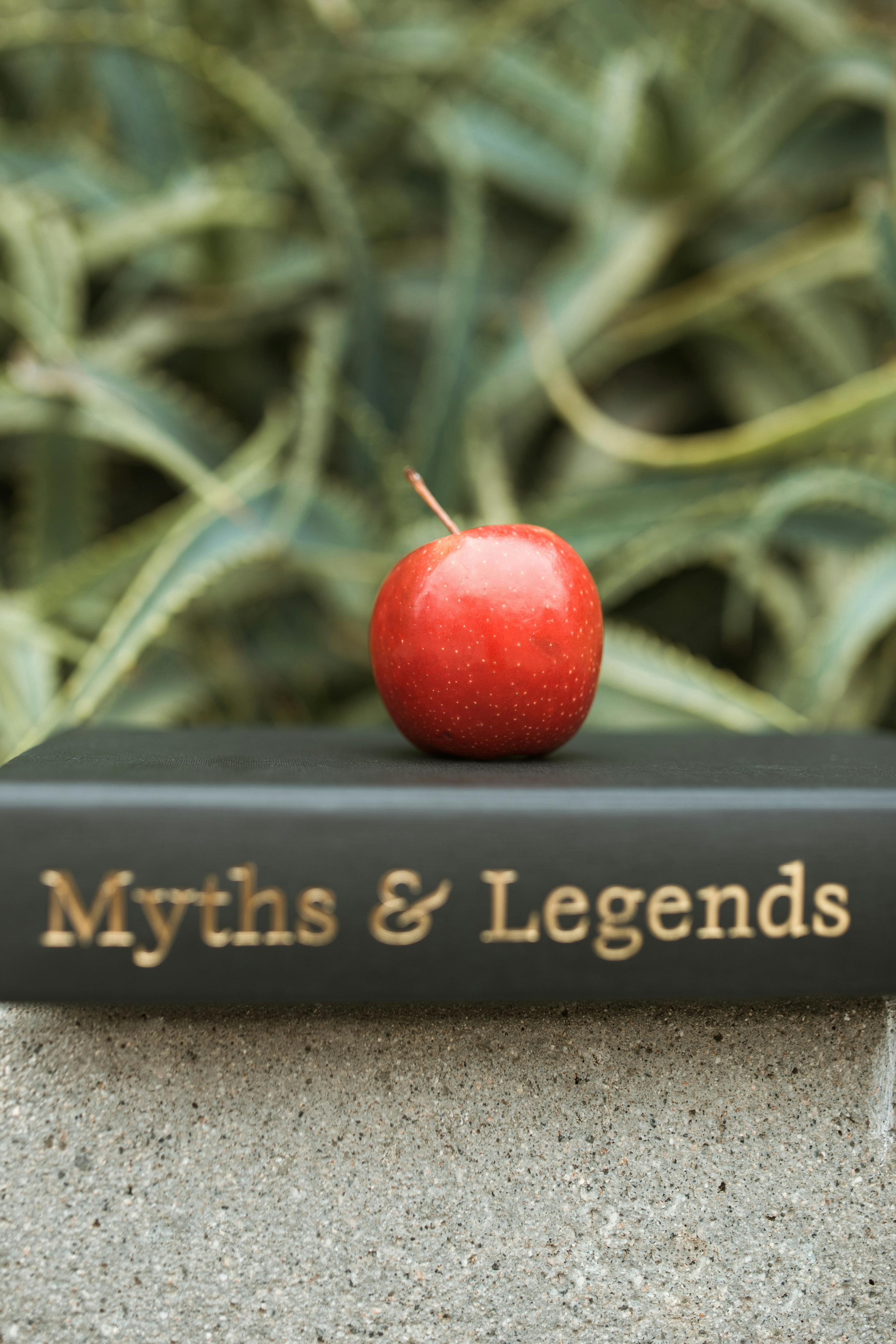 Why Do Babysex Myths Persist? Cultural Beliefs and Gender Stereotypes Explored