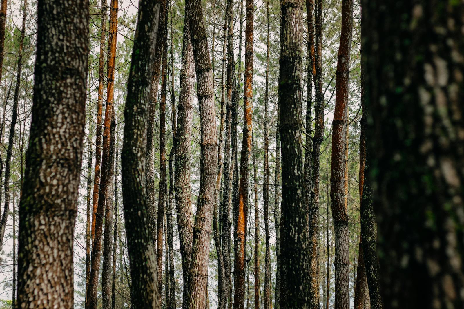 Curated crates of fresh vegetables ready for dispatch