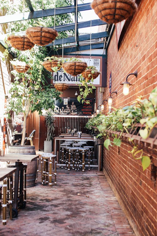 Wooden tables and chairs on sunny terrace of outdoor cafeteria with brick wall and green plants hanging on metal canopy