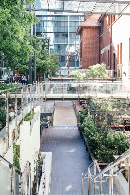 Free Contemporary outdoor walkway with glass railings in an urban setting, surrounded by greenery. Stock Photo