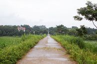 Gray Concrete Road Between Green Grass and Trees