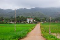 风景秀丽的乡村，穿过充满生机的绿色田野，通向宁静的村庄