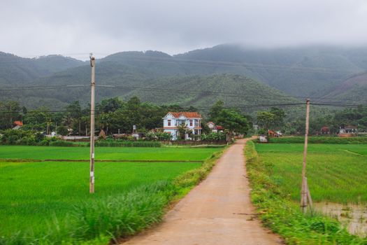 风景秀丽的乡村，穿过充满生机的绿色田野，通向宁静的村庄