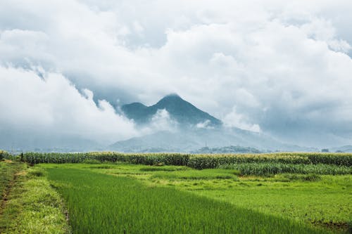 Ingyenes stockfotó felhők, hegyek, mezőgazdaság témában Stockfotó