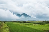 Green Grass Field Near Mountain Under White Clouds