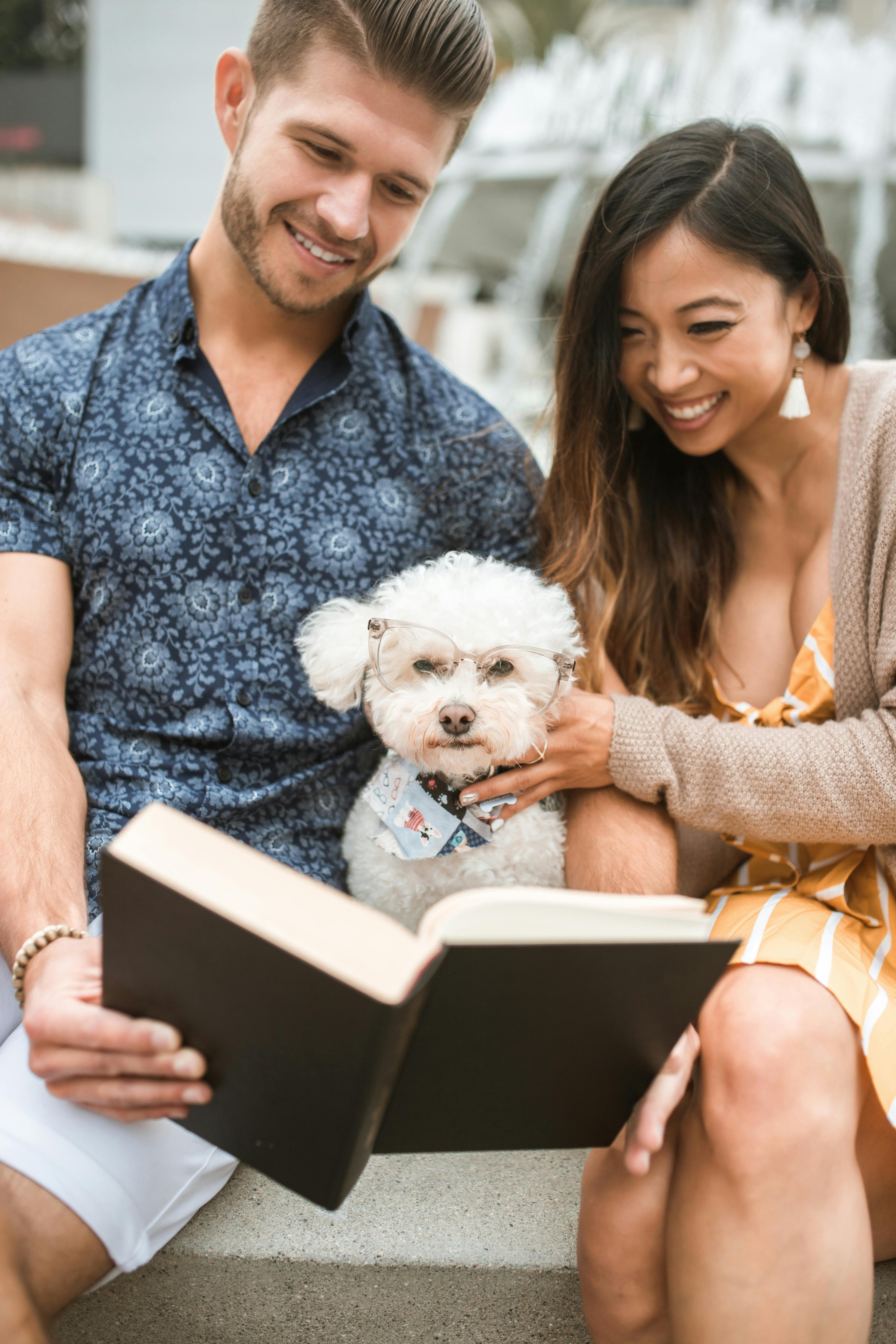Free Man and Woman Reading Books with their Bichon Frise Dog Stock Photo