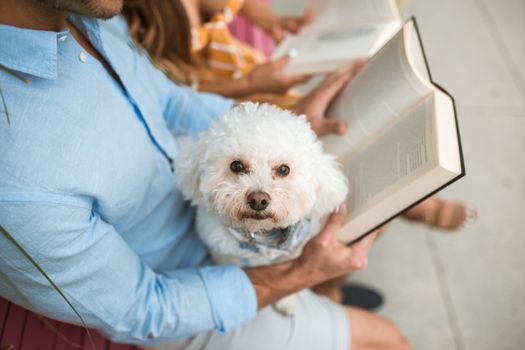 一只可爱的贵宾犬坐在外面，人们正全神贯注地看书