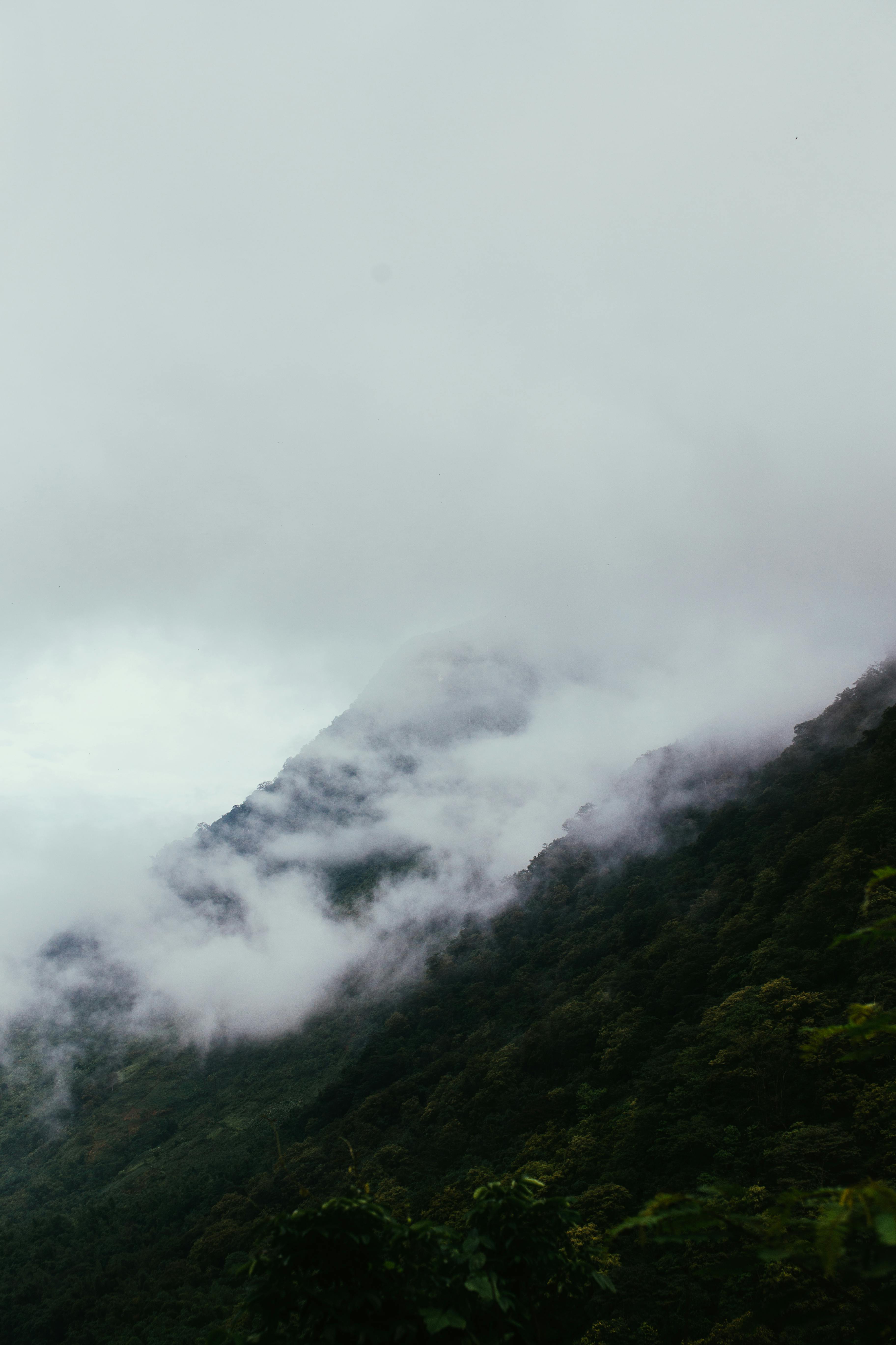 Fog Covers Mountains Photos, Download The BEST Free Fog Covers ...