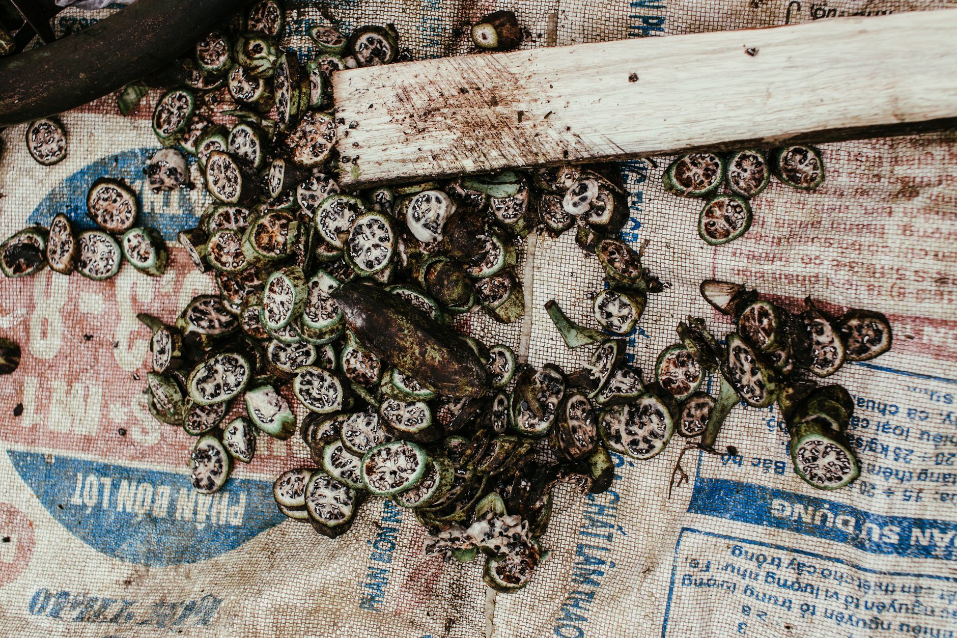 A detailed view of sliced vegetables on a textured, printed surface, showcasing organic textures and patterns.