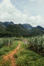Green Grass Field Near Mountain Under White Clouds