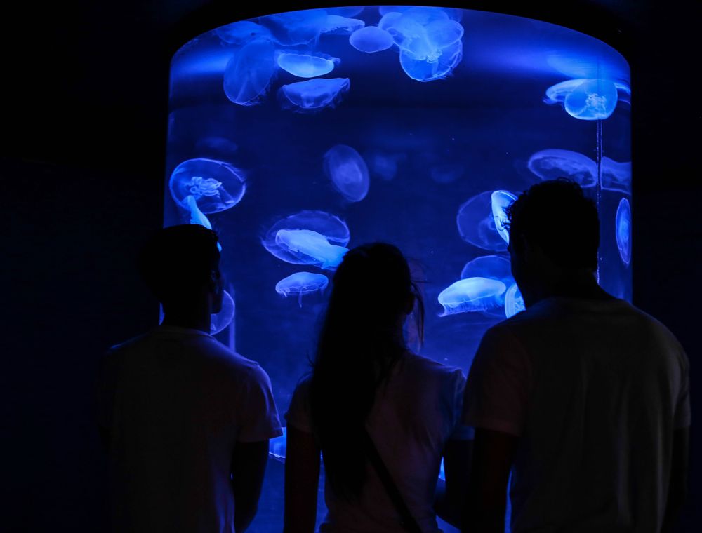 Aquariums