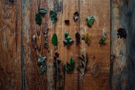 Green Leaves on Brown Wooden Surface