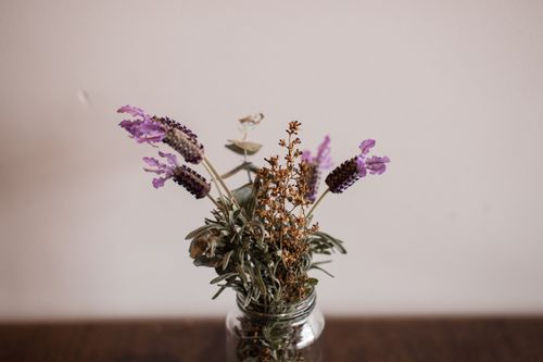 Free A delicate arrangement of dried French lavender in a clear glass vase, highlighting its natural beauty. Stock Photo