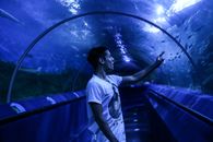 Man in White Crew Neck T-shirt Standing in Front of Aquarium