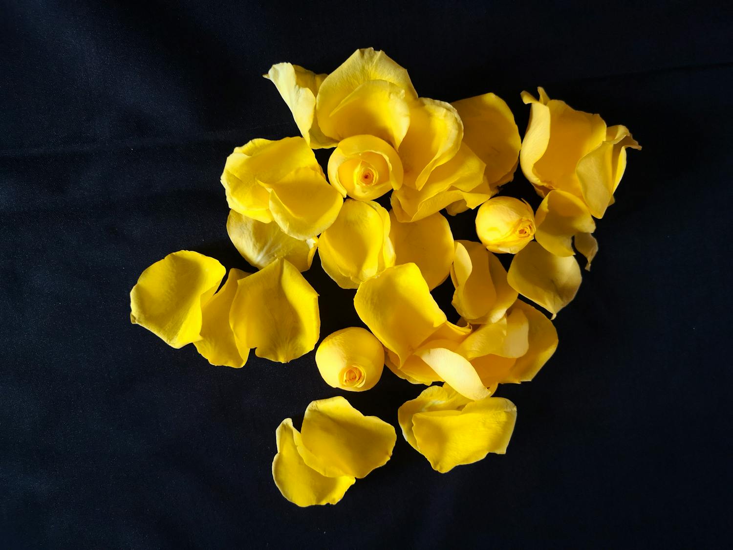 Two people clinking glasses of non-alcoholic drinks with citrus and herbs