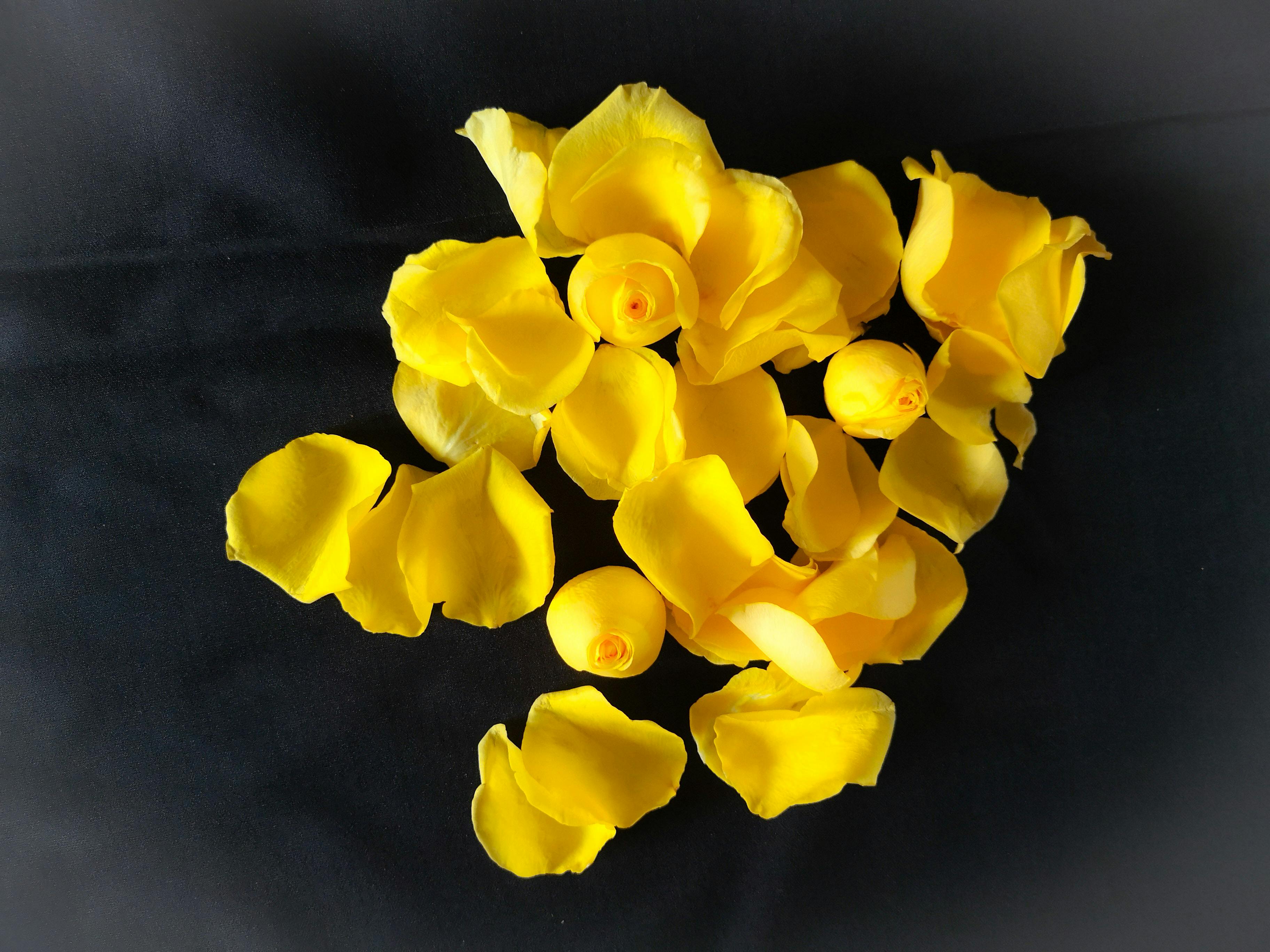 Person holding a glass of wine at a dinner table with food