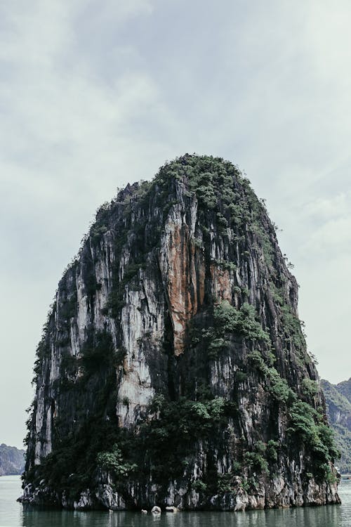 Immagine gratuita di acqua, alberi, in piedi