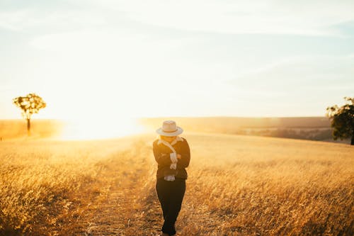 Základová fotografie zdarma na téma hřiště, krajina, louka