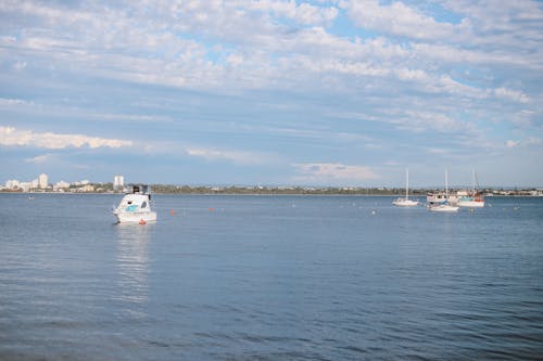 帆船, 景觀, 水上技能 的 免費圖庫相片
