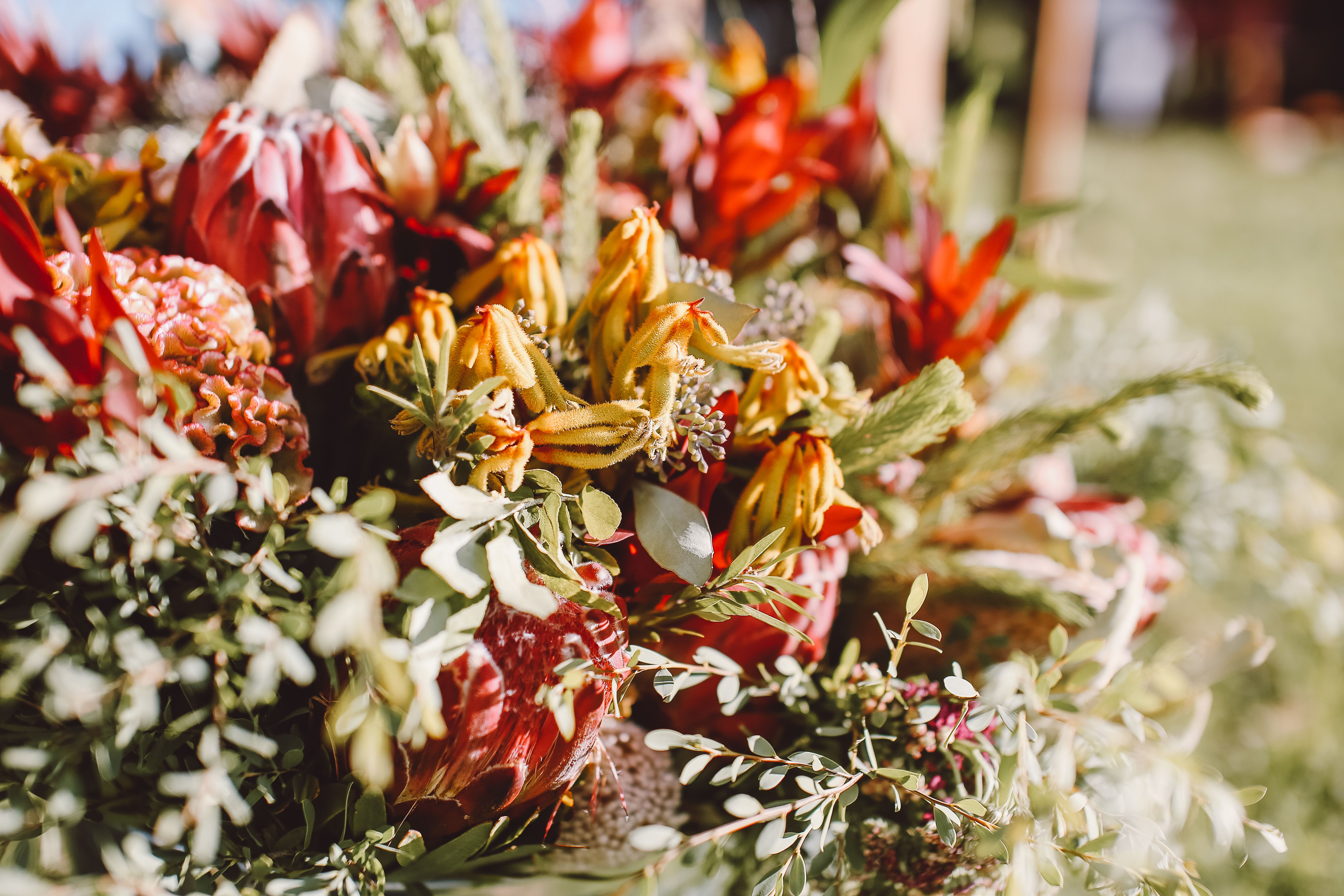 A striking arrangement featuring protea blooms with greenery
