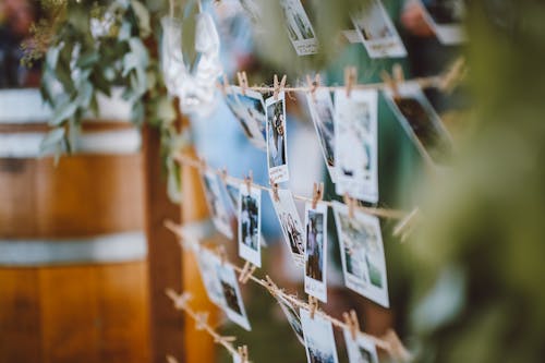 Základová fotografie zdarma na téma dekorace, detail, lano