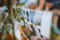 White and Blue Card on Green Plants