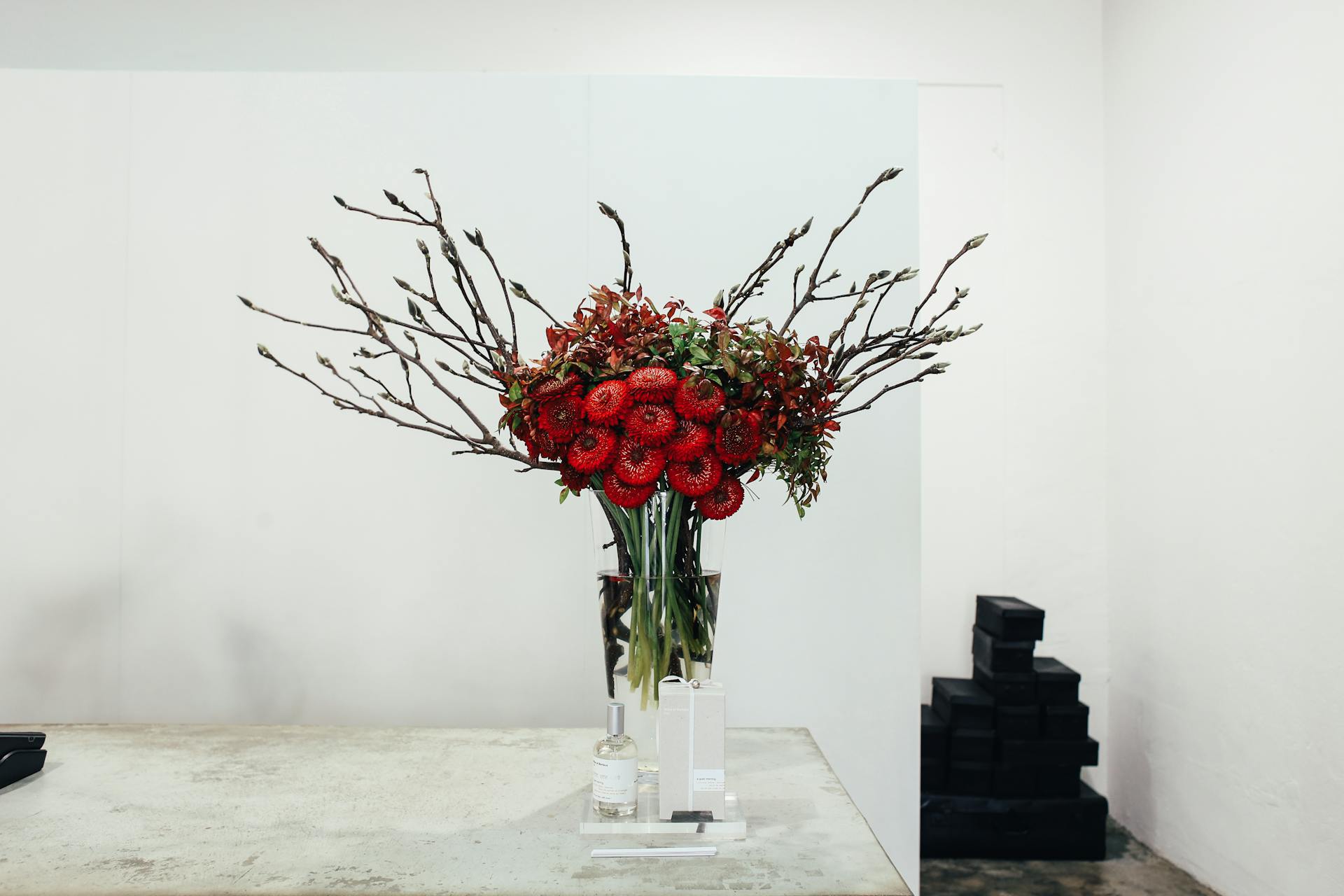 Red Transvaal Daisy Flowers in Clear Glass Vase