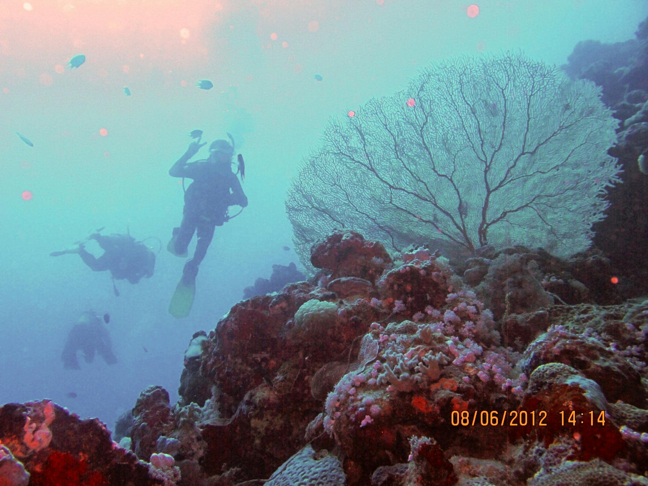 Scuba diving in the Red Sea is one of the attractions of Jeddah. Source: Flickr