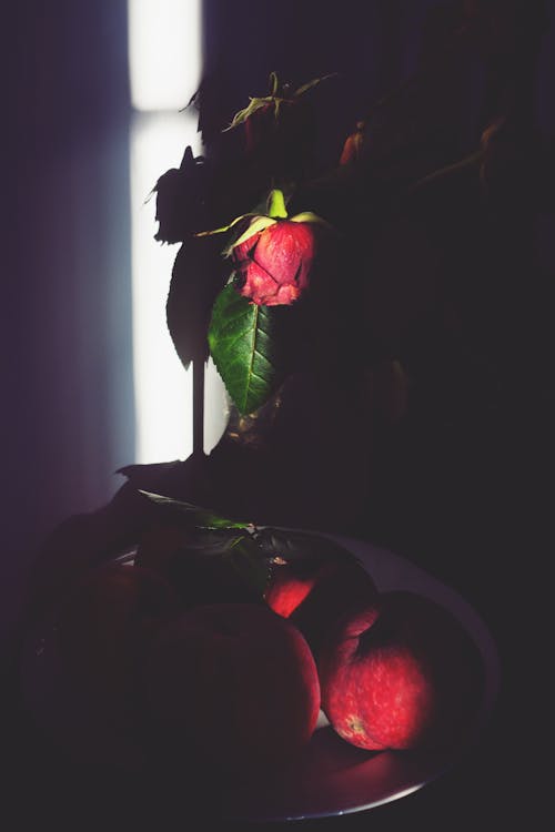 去世, 玫瑰, 紅色 的 免費圖庫相片