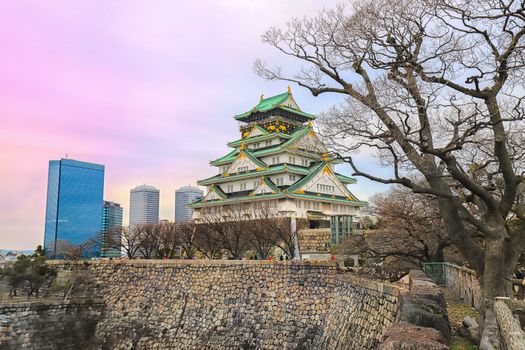 Osaka Castle private morning — Osaka