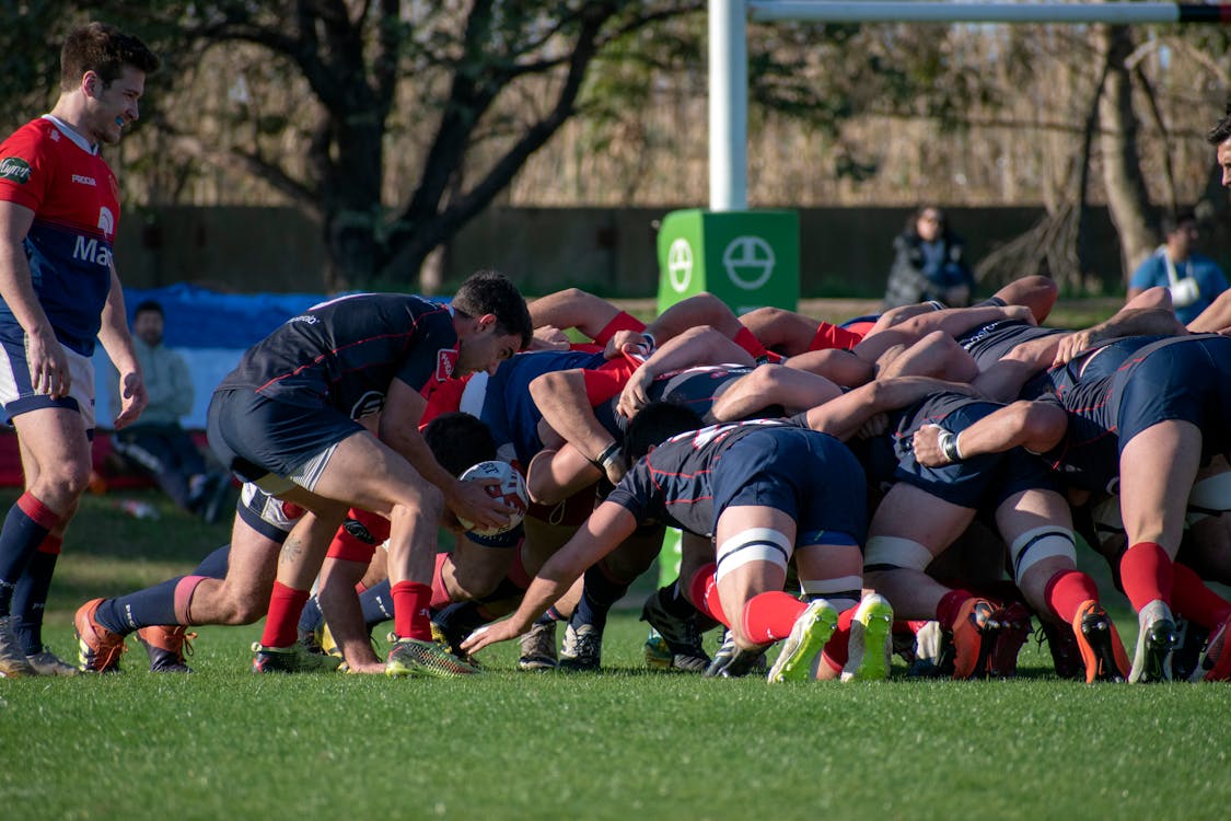 Men Playing Rugby · Free Stock Photo