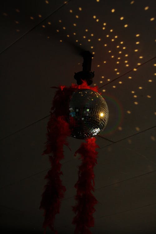 Disco Ball And Red Feather Boa hanging From A Celinig 