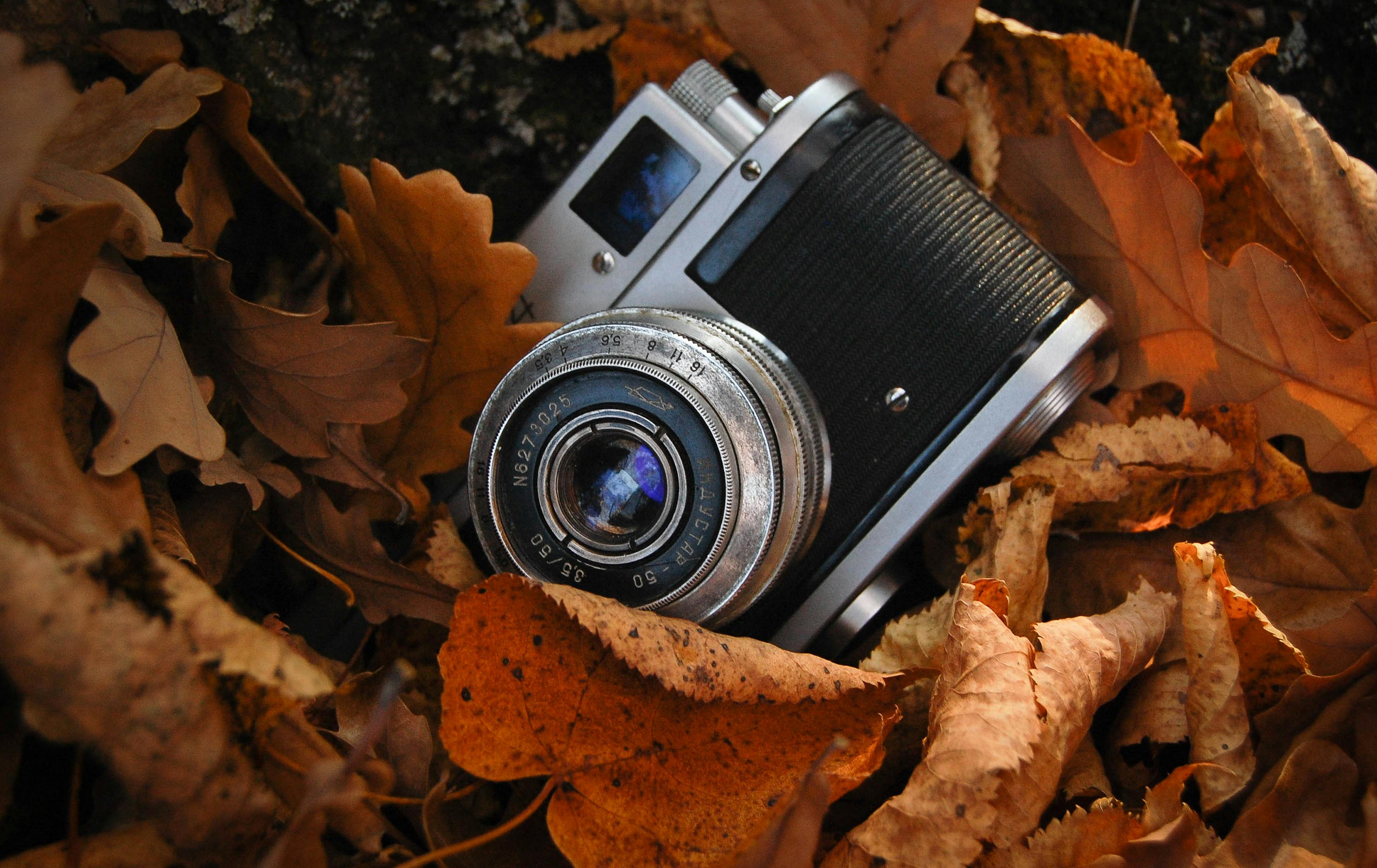 Black and Silver Camera on Brown Dried Leaves · Free Stock Photo