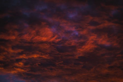 From below of evening sky covered with vibrant red highlighted dense clouds at dawn