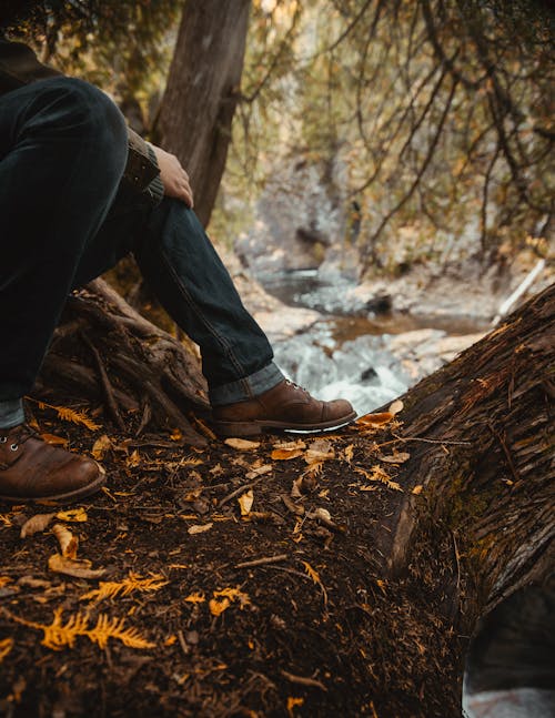 Free Person in Black Pants and Brown Leather Boots Sitting on Brown Tree Log Stock Photo