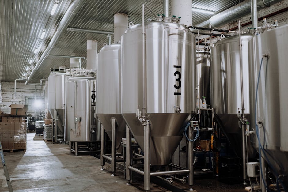 From Japan to the World: How Precision Fermentation is Unleashing a Food Revolution
