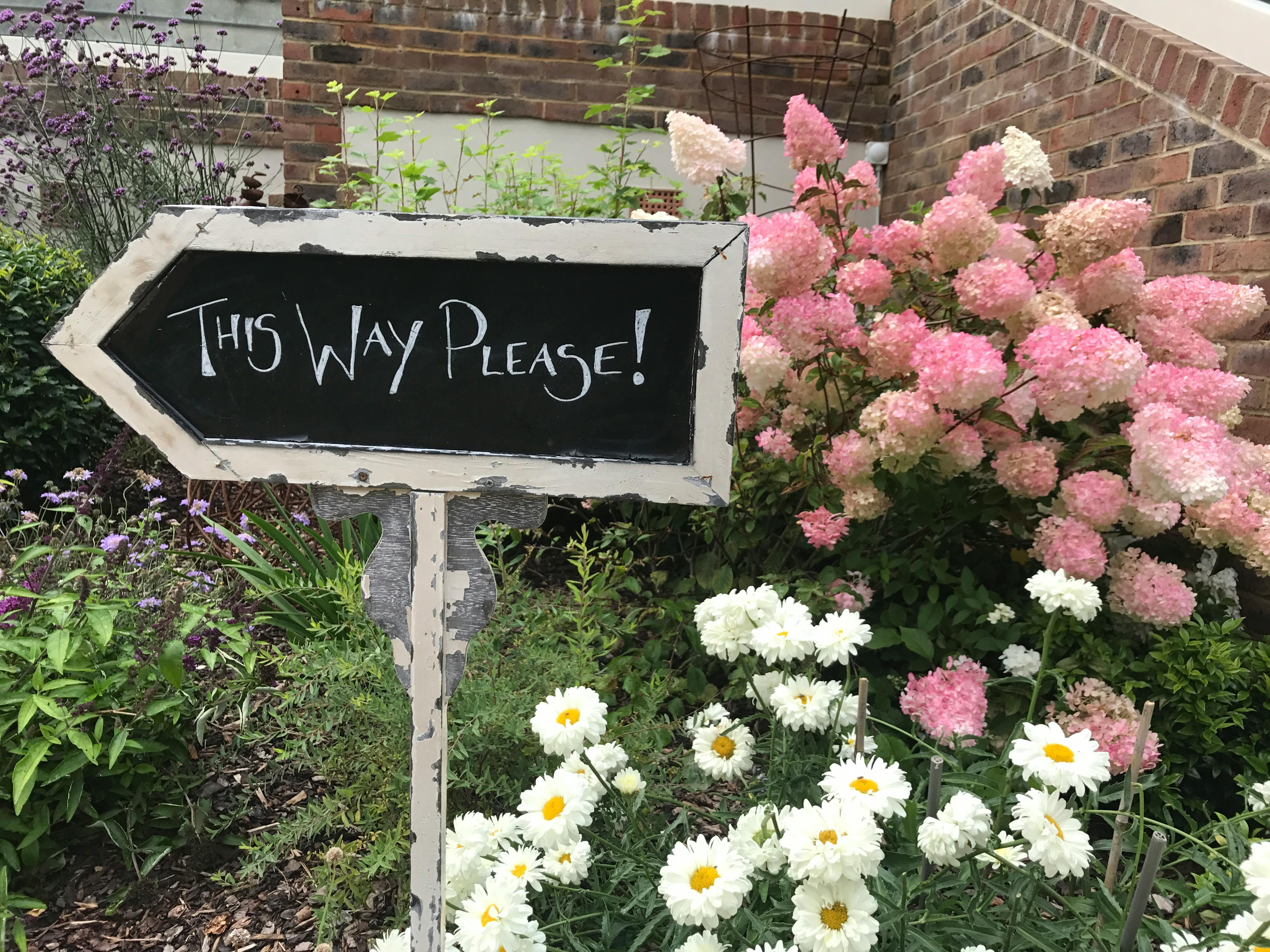 Free stock photo of directions, floral, flowers