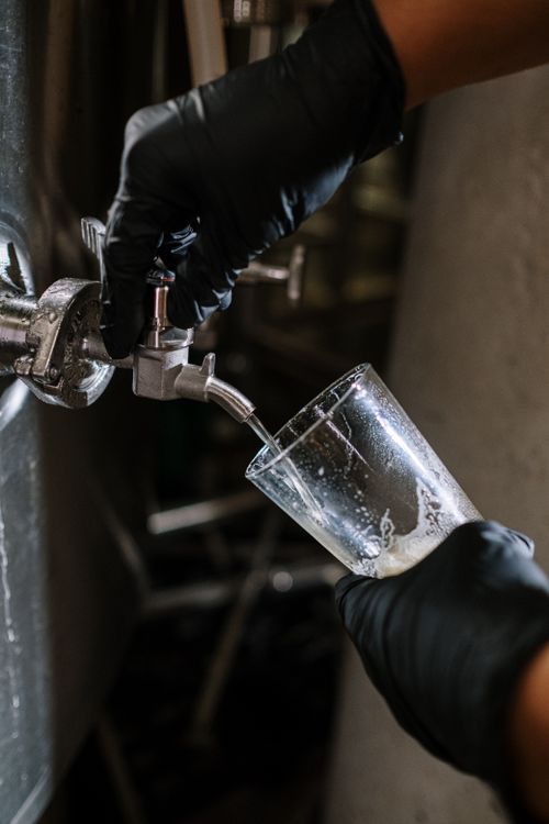 Free Close-up shot of craft beer being poured into a glass from a brewery tap, highlighting brewing process. Stock Photo