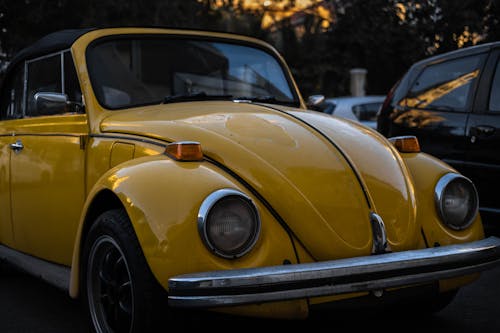 Photos gratuites de beetle, classique, garé