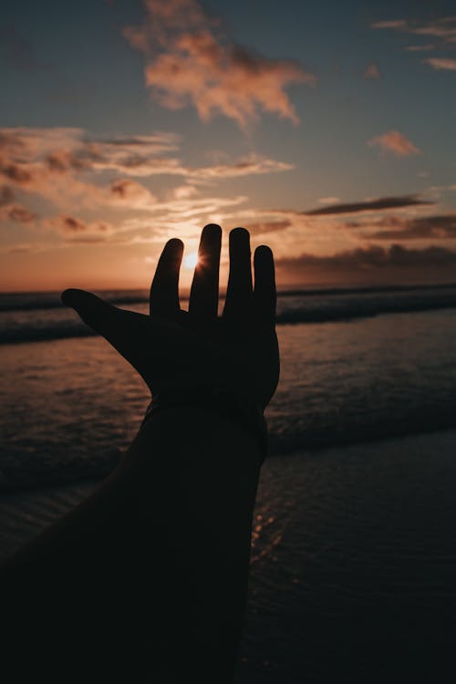 Hand Silhouette on Sunset