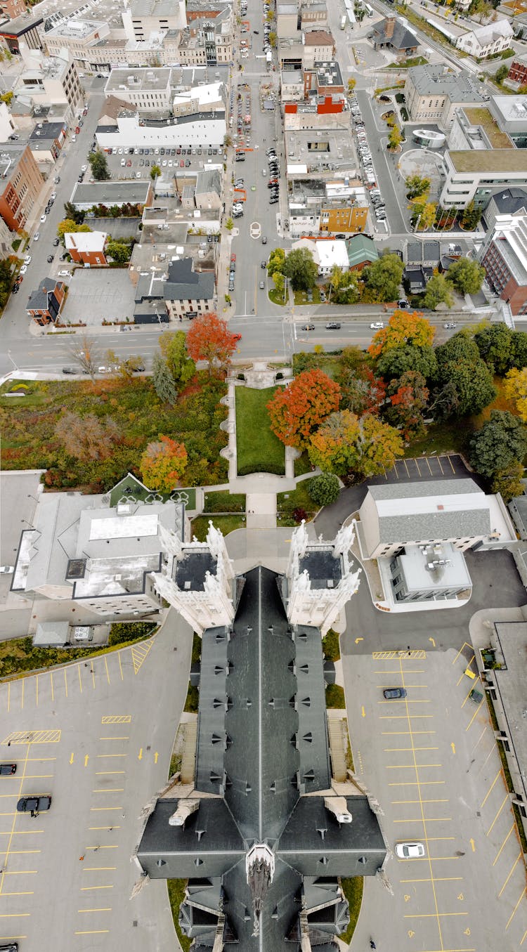 Roofs Of Buildings Of American University