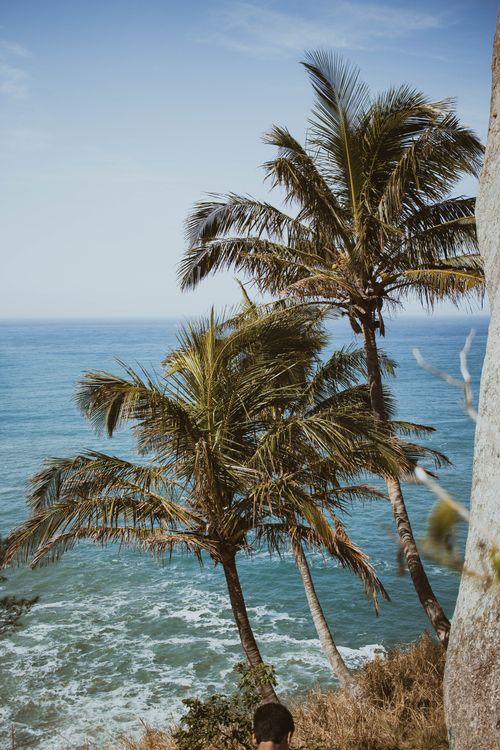 Free Scenic view of palm trees against the ocean in Rio de Janeiro, Brazil. Stock Photo